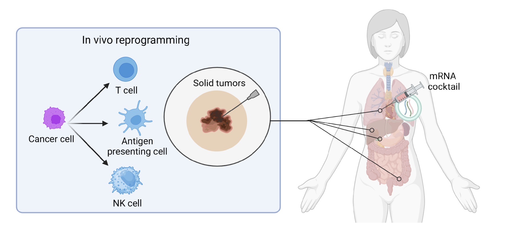 Reprogram Biosciences Project